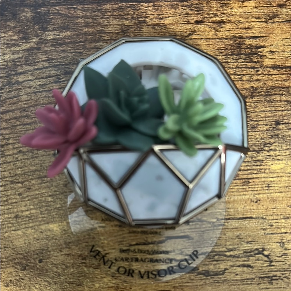 Geometric Succulent Car Fragrance Clip